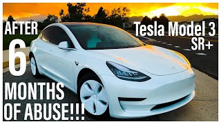 Tesla Model 3 After 6 Months of Abuse | Standard Range Plus | Drive Electric Week Event Prep