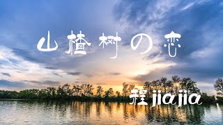 山楂树の恋 - 程jiajia 【橙子音乐】我的山楂树之恋只有是和你才会纯洁可以丢弃【高清无损音质】