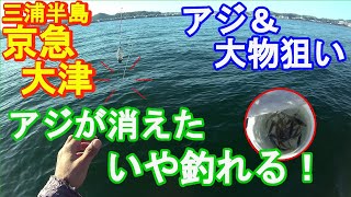 ♯272京急大津ボート釣り】2025年の初釣りはのんびりまったりアジ釣り