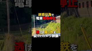 迷惑行為で電車緊急停止逃げる撮り鉄を捉えたカメラ映像 #電車 #撮り鉄 #衝撃映像 #防犯カメラ #防犯カムカム