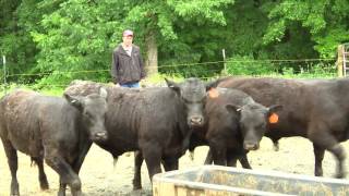 Franklin County Agricultural Close-up
