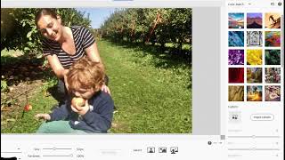 The Color Match tool in Photoshop Elements 2024
