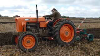 VINTAGE FIAT Tractors At A Plowing Match - Fiat 411R \u0026 Fiat 55-90