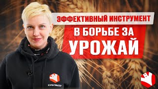 Предпосевная обработка семян | Выбор протравителя