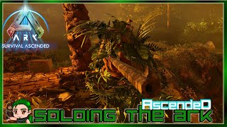 Becoming a Bush - Testing Ghillie's Stealth Mechanics! Soloing the Ark Ascended 19