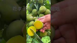 Fresh and delicious fruits 신선하고 맛있는 과일 862