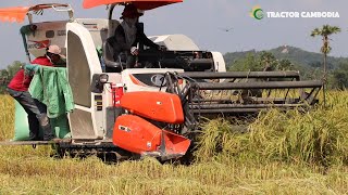 Ingenious Harvester Working In Water | Rice farming machinery \u0026 Awesome paddy rice field countryside