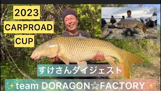 ✨ teamDORAGON☆FACTORY✨すけさんダイジェスト‼️#carpfishing #鯉釣り #fishing