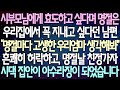 (반전 사연) 시부모님에게 효도하고 싶다며 명절은 우리집에서 꼭 지내고 싶다던 남편 제가 흔쾌히 허락하고 명절날 친정가자 시댁 집안이 아수라장이 되었습니다 /사이다사연/라디오드라마