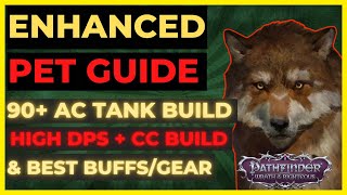 PF: WOTR ENHANCED - PET GUIDE: BEST PETS, 90+ AC TANK \u0026 DPS/CC BUILDS, Best BUFFS \u0026 GEAR