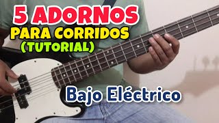 ADORNOS en Bajo Eléctrico para TOCAR en CORRIDOS - ¿CÓMO tocar adornos en bajo?