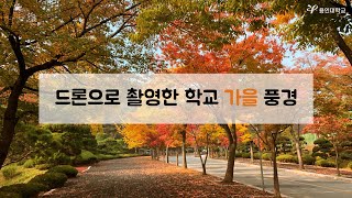 용인대학교 | 드론으로 촬영한 학교 가을 풍경 (English ver.)