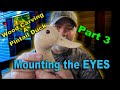 Pintail Duck Wood Carving part 3 Mounting the Eyes