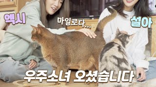 우주소녀와 마일로가 처음 만났을 때 반응! (ft. 설아, 엑시) | '고행우' 촬영 비하인드!