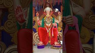 Akola Cha Raja #ganpati #ganesha #ganeshutsav #akola #ganpatibappamorya