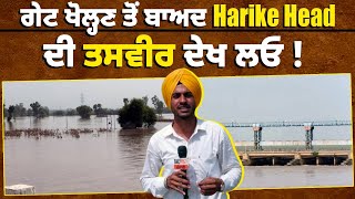 ਗੇਟ ਖੋਲ੍ਹਣ ਤੋਂ ਬਾਅਦ Harike Head ਦੀ ਤਸਵੀਰ ਦੇਖ ਲਓ ! Pakistan  ਵੱਲ ਜਾ ਰਿਹਾ ਪਾਣੀ ! LIVE