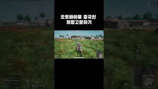 중국인 희망고문 하기