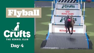 Flyball Semi-Final One | Crufts 2025