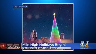 Mile High Tree Reaches 110 Feet Tall