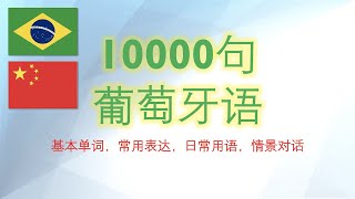 巴西葡萄牙语10000句 - 27/50