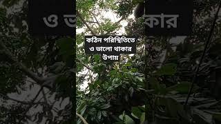 কঠিন পরিস্থিতিতে ও ভালো থাকার উপায়।#support #islamicshorts #quran #capcut #prayer #viral #shorts