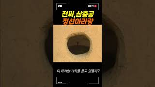 전 씨 -삼충공, 정선아리랑