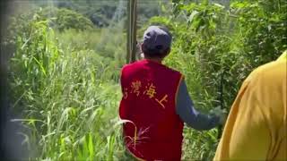 111年8月27日   永鴻隆船隊   奉何清吉理事長指示   配合苗栗縣警察局   擄鴿勒索專案   於造橋北坑、萬里長城   剷除鴿網