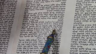 Maftir Reading for Shmini Atzeret/Simchat Torah by Rabbi Weisblum מפטיר לשמיני עצרת/שמחת תורה