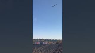 Watch stealth bomber fly over Rose Bowl #cfbnews