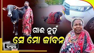 ଗାଈ ନୁହେଁ ସେ ମୋ ଜୀବନ , ମୁ ଫାଇନ ଦେବି ..ମୋ ଗାଈକୁ ମତେ ଫେରେଇଦିଅ