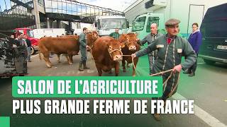 The hidden side of the Agricultural Show