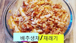 👍🏾배추생채/재래기  7080 추억의 배추생채/재래기 된장뽀글뽀글 찌져서 쓱쓱 비벼드세요~(부산아지매레시피)