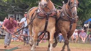 hesperia Michigan horse pulls 2022