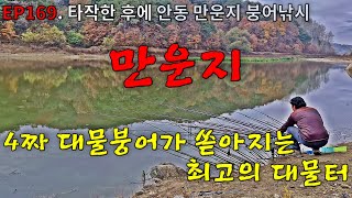 EP169. 타작한 후에 |  마릿수는 물론 4짜 대물붕어가 쏟아지는 최고의 대물터 | 안동 | 만운지 | 붕어낚시 | Crucian Carp Fishing