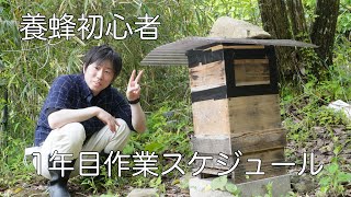 【日本蜜蜂】初心者必見１年目の養蜂作業スケジュール