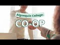 What is Co-Op?