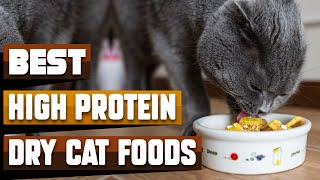 Best High Protein Dry Cat Food In 2024 - Top 10 High Protein Dry Cat Foods Review