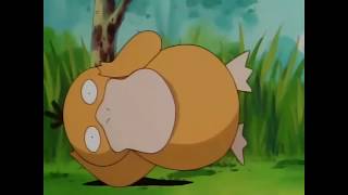 Pokemon short clip - Psyduck sleeps with open eyes