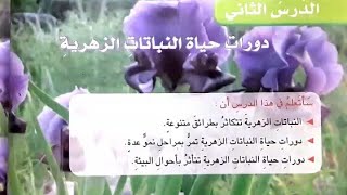 دورات حياة النباتات الزهرية(شرح ⚘ اسئلة  ) علوم الرابع الابتدائي