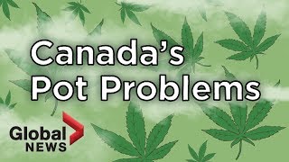 Why are some Canadian cannabis companies struggling?