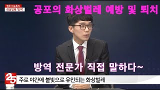 공포의 화상벌레 퇴치법 방역전문가가 직접 알려드리겠습니다~ (헬로 이슈토크 화상벌레 대처방안 요약본)