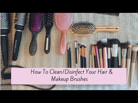 How do you clean hair brushes from clients?