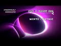 Fast & Groovy Electronic Dance Music | Mintz - Metric