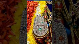 SRIRANGAM VAIKUNDA EKADSHI FESTIVEL 2022-2023 Pagal Pattu DAY 2