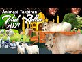 Keren..!! Animasi Takbiran IDUL ADHA 2021 - Story WA Takbiran Kartun