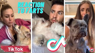 Cats And Dogs Reaction To Farts - TRY NOT TO LAUGH | Animal Funday
