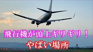 飛行機が頭上ギリギリやばい場所！大阪国際空港　千里川土手　A place where airplanes are barely overhead! Osaka　Airport