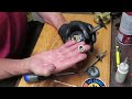 daiwa bg60sc fishing reel a look inside and how to service