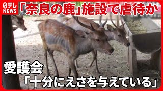 【奈良の鹿】保護施設で虐待疑惑　雄の約7割が飢餓状態も…愛護会は否定