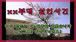 읽니밍 081) 반전에 반전이 쩌는 공포스릴러! 무서운 이야기 괴담명작 납량특집 오디오북